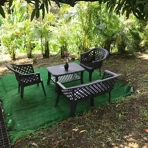 https://coconut-studio.comcaribbean.com